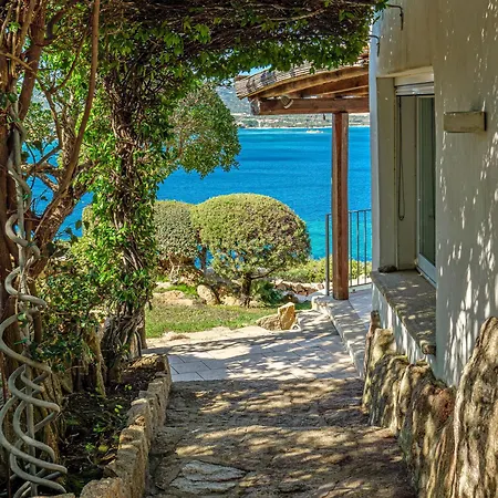 Paradiso *